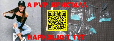 тгк Новозыбков