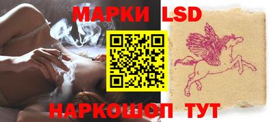 тгк Новозыбков