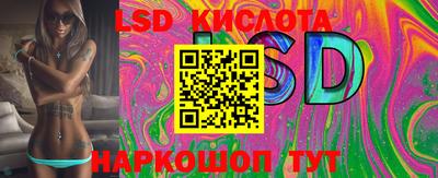тгк Новодвинск