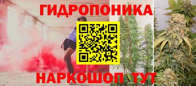 тгк Новодвинск