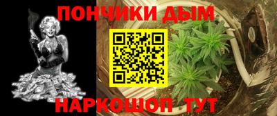 тгк Новозыбков