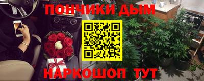 тгк Новодвинск