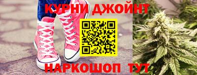 тгк Новодвинск